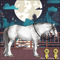 Horse Color:White Spotted Smoky Blue Roan Splash Rabicano 