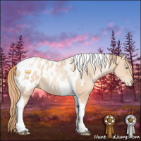 Horse Color:Gold Champagne Pearl Tobiano Near Leopard