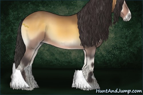 Horse Color:Buckskin Onyx