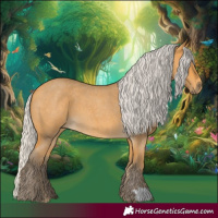 Horse Color:Silver Buckskin Roan 