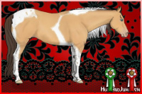 Horse Color:Sable Cream Champagne Tobiano 