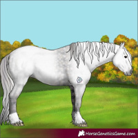 Horse Color:Gray Plaid Black
