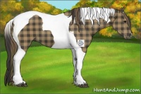 Horse Color:Plaid  Smoky Black Tobiano 