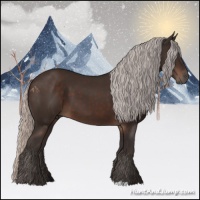Horse Color:Silver Brown