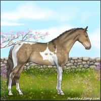 Horse Color:Chocolate Palomino Dun Tobiano 