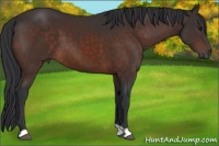 Horse Color:Brown 