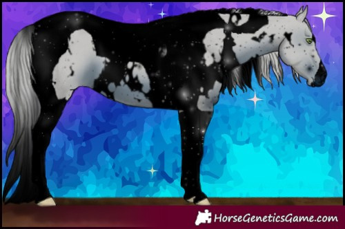 Horse Color:ERROR: UNKNOWN ANOMALY