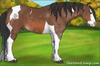 Horse Color:Bay Splash Tobiano 