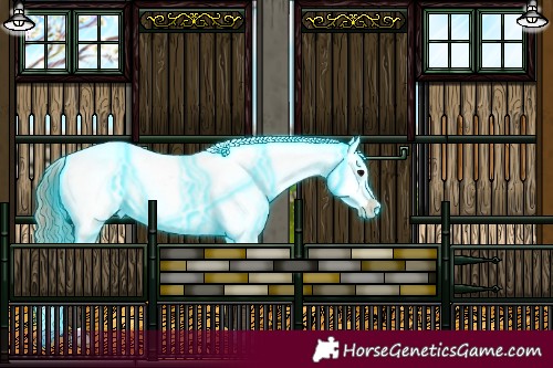 Horse Color:Thunderstruck Brown Dun Splash Appaloosa 