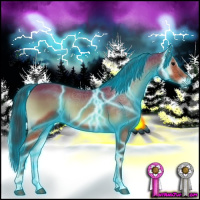 Horse Color:Thunderstruck Bay Onyx 