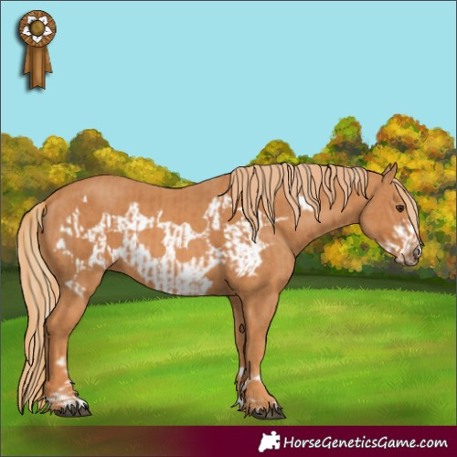 Horse Color:Chestnut and Chestnut Frame