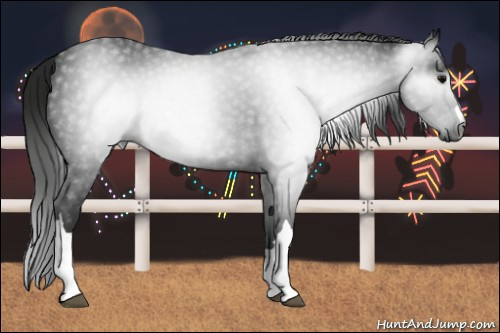 Horse Color:Gray Black 