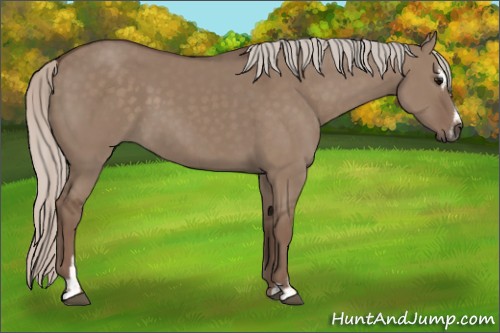 Horse Color:Silver Grullo Sabino 