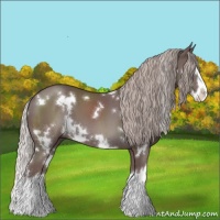 Horse Color:White Spotted Chocolate Silver Black Splash