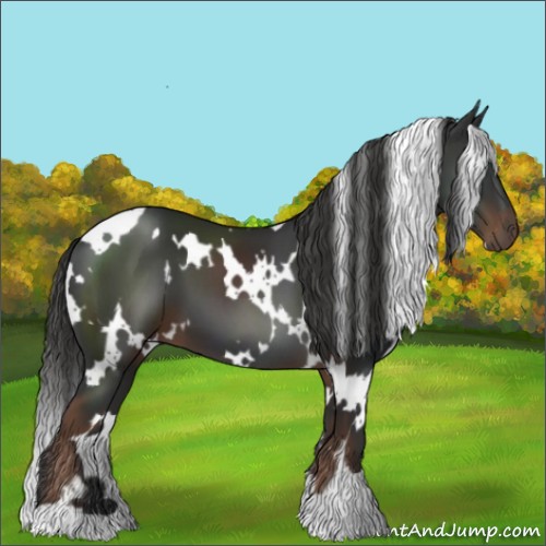 Horse Color:White Spotted Liver Chestnut 