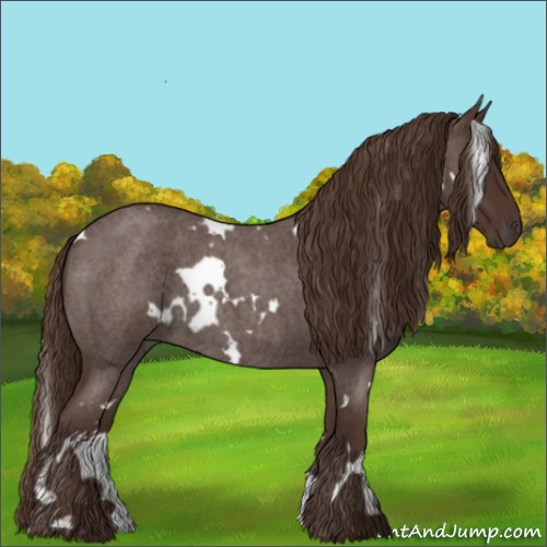 Horse Color:White Spotted Liver Red Roan