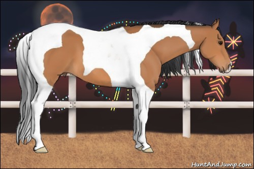 Horse Color:Bay Tobiano 