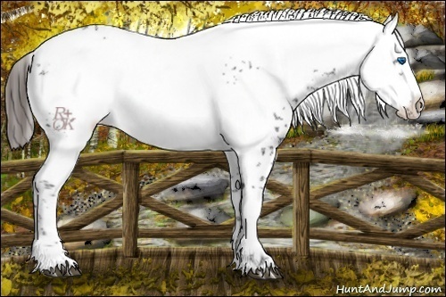 Horse Color:Liver Chestnut Frame