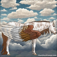 Horse Color:Chestnut Ice 