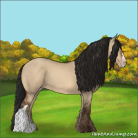 Horse Color:Gray Sable Champagne Dun 