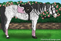 Horse Color:White Spotted Blue Roan Rabicano  and White Spotted Blue Roan Rabicano 