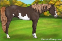 Horse Color:Liver Chestnut Frame 