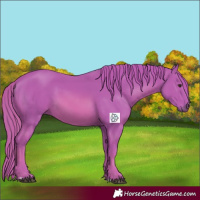 Horse Color:Watercolor Chestnut 