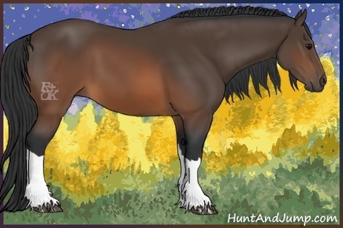 Horse Color:Brown 