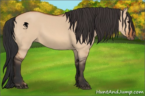 Horse Color:Bay Dun