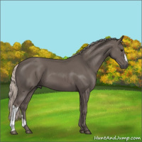 Horse Color:Silver Black 