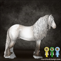 Horse Color:Gray Silver Smoky Blue Roan Pearl Tobiano Appaloosa 