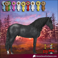 Horse Color:Black 