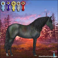 Horse Color:Black 