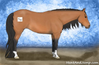 Horse Color:Bay Roan