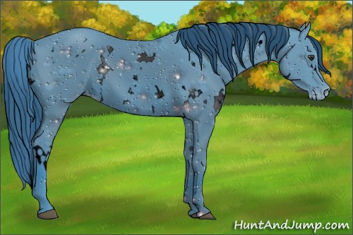 Horse Color:ERROR: UNKNOWN ANOMALY