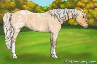 Horse Color:Silver Buckskin Ice Roan 