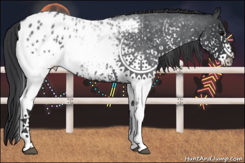 Horse Color:White Spotted Blue Roan Appaloosa 
