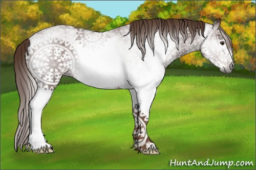 Horse Color:Gray White Spotted Chestnut 