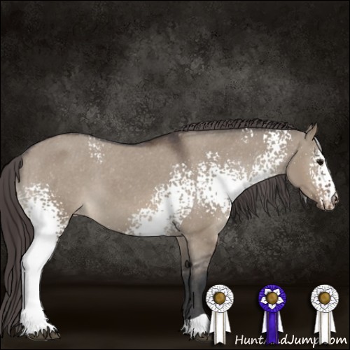 Horse Color:White Spotted Brown Dun Varnish