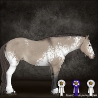 Horse Color:White Spotted Brown Dun Varnish 