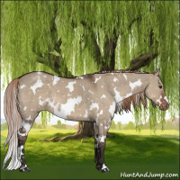 Horse Color:White Spotted Liver Red Dun Snowflake Varnish 