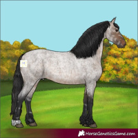 Horse Color:Brown Ice Roan Dun