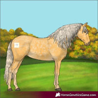 Horse Color:Palomino Ice 