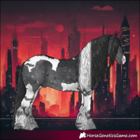 Horse Color:Black Tobiano 