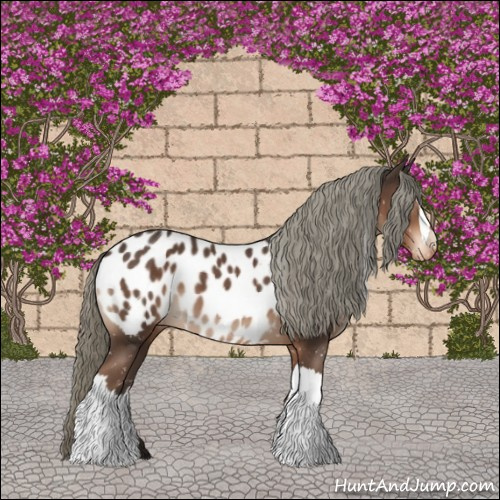 Horse Color:Liver Chestnut Mushroom Appaloosa 