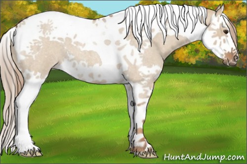 Horse Color:Red Dun Roan Splash Tobiano 