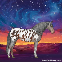 Horse Color:Liver Chestnut Tobiano Appaloosa 