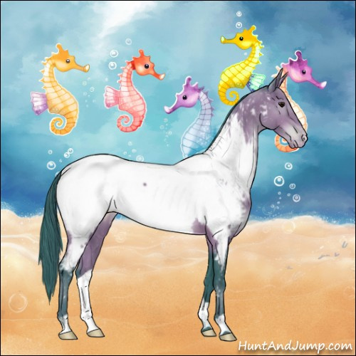 Horse Color:Watercolor Bay Appaloosa 