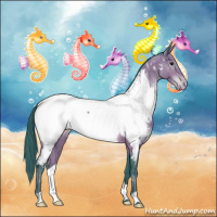 Horse Color:Watercolor Bay Appaloosa 