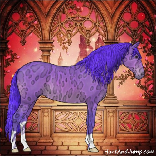 Horse Color:Watercolor Bay Ice 